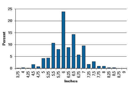 Penis Size Chart